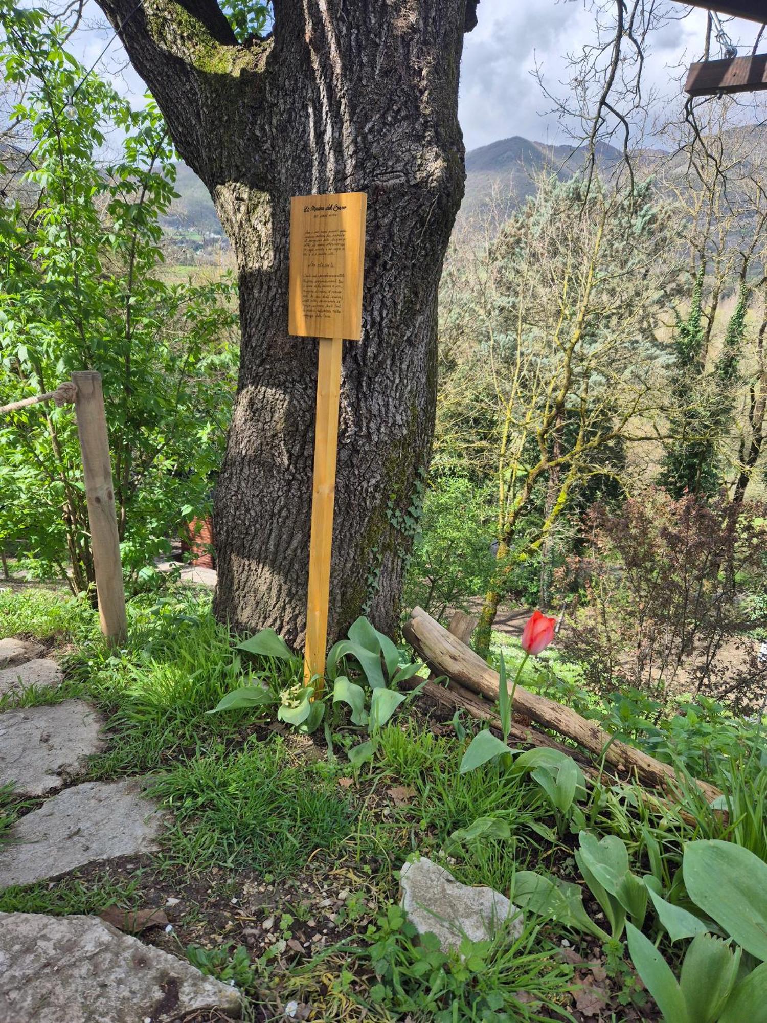 B&B Colle Di Terria Country House Contigliano Екстериор снимка